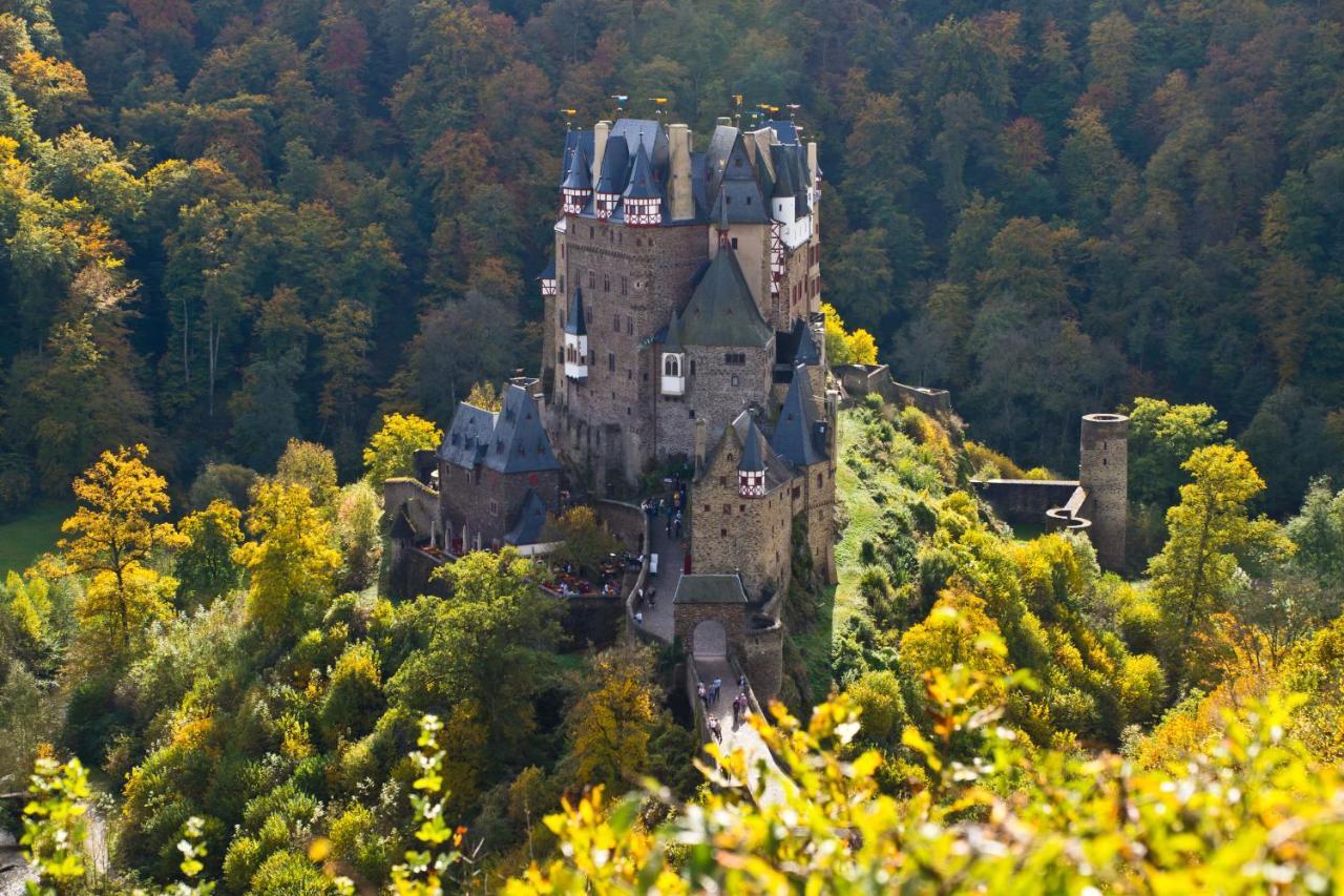 Tiny House Natur-Traum Zur Burg Eltz Wierschem Extérieur photo