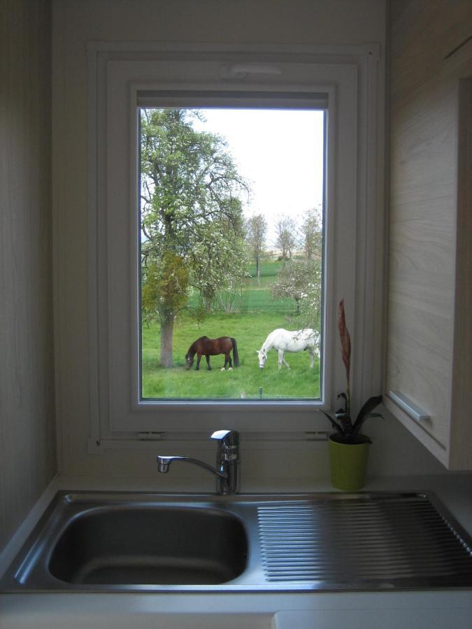 Tiny House Natur-Traum Zur Burg Eltz Wierschem Extérieur photo