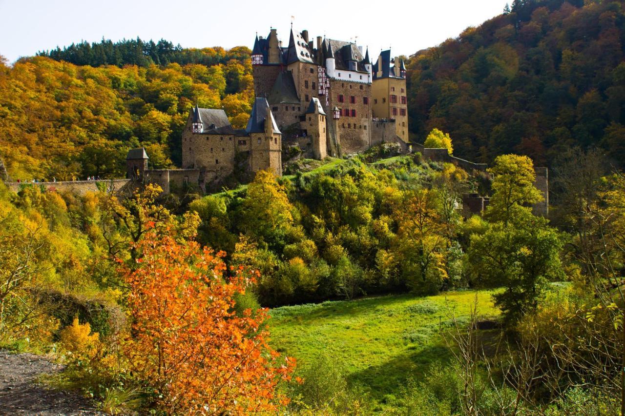 Tiny House Natur-Traum Zur Burg Eltz Wierschem Extérieur photo
