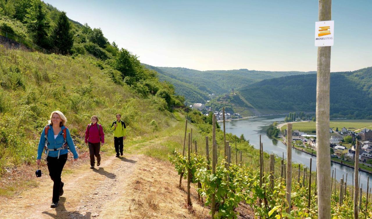 Tiny House Natur-Traum Zur Burg Eltz Wierschem Extérieur photo